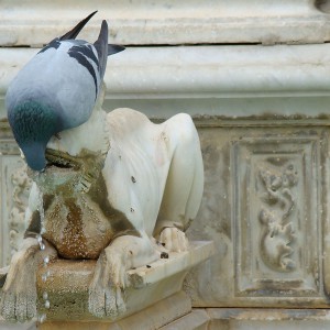 Fonte Gaia - Piazza del Campo