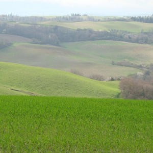collines et la campagne toscane