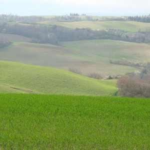 Colline e campagna toscana