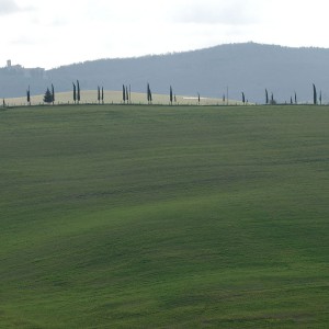 collines et la campagne toscane