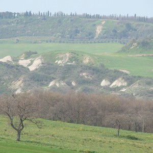 Colline e campagna toscana