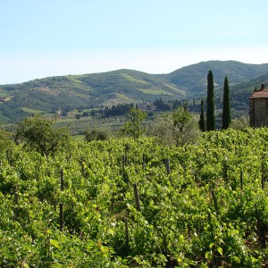 Colline e campagna toscana