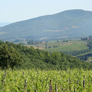 Colline e campagna toscana