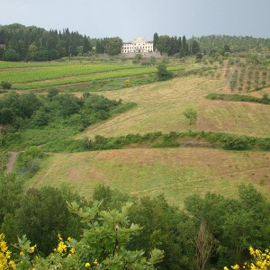 Colline e campagna toscana