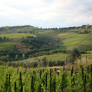 Colline e campagna toscana