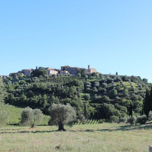 Campagna senese