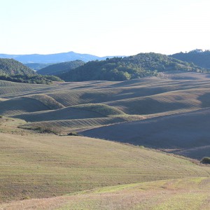 Crete Senesi