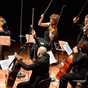 Micat in vertice 04