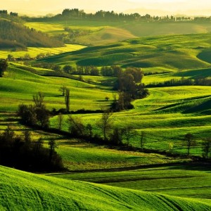 Primavera a Siena - Spring in Siena Tuscany -