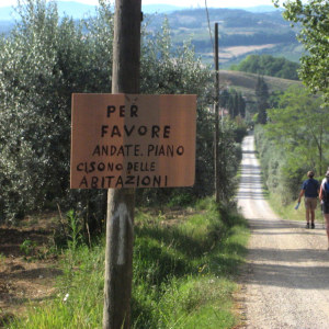 via francigena a siena